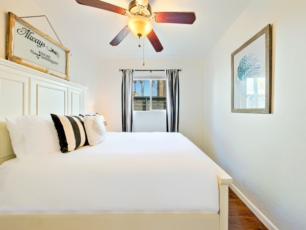 Oceanfront Vacation Cottage with Panoramic Views in San Diego Sleeps 12
