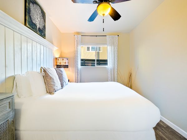 Oceanfront Vacation Cottage with Panoramic Views in San Diego Sleeps 12