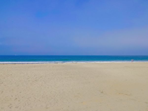 Mission Beach And Pacific Beach Home 1021419