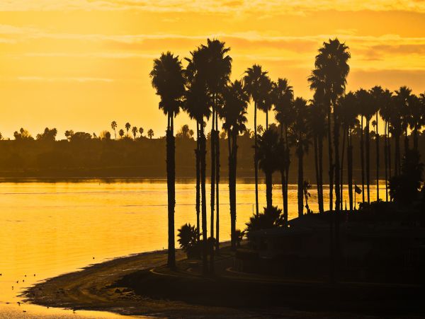 Mission Beach And Pacific Beach Home 1021625