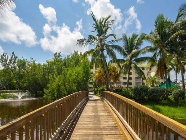 The Florida Keys Condo 1021644