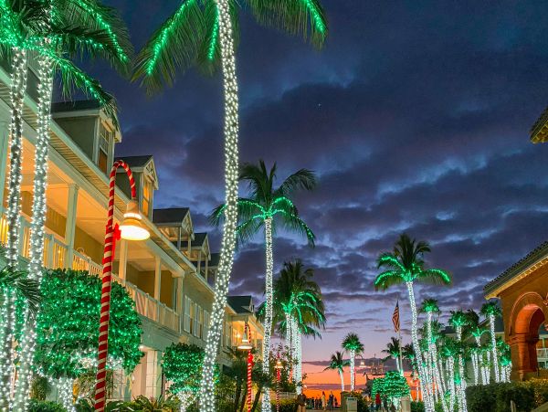 The Florida Keys Condo 1021644