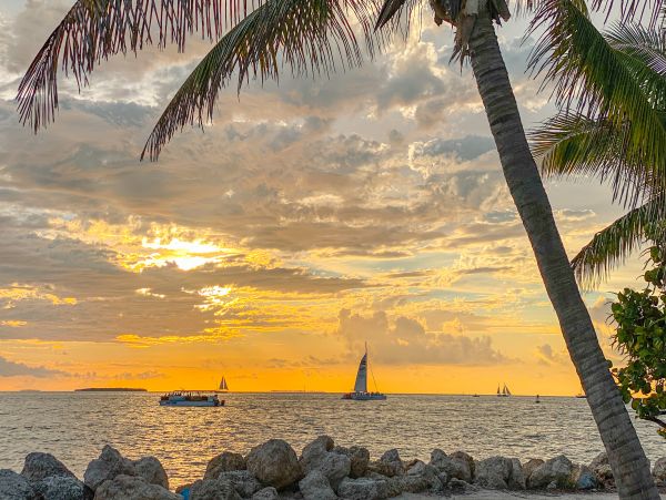 The Florida Keys Condo 1021644