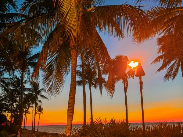 The Florida Keys Condo 1021644
