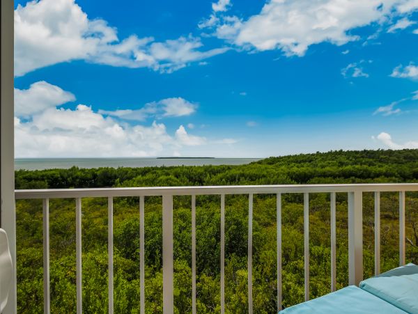 The Florida Keys Condo 1021684
