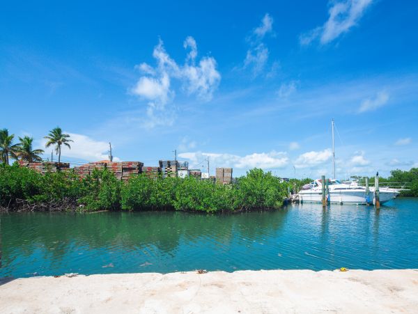 The Florida Keys Home 1021688