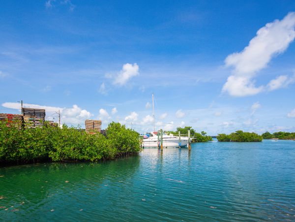 The Florida Keys Home 1021688