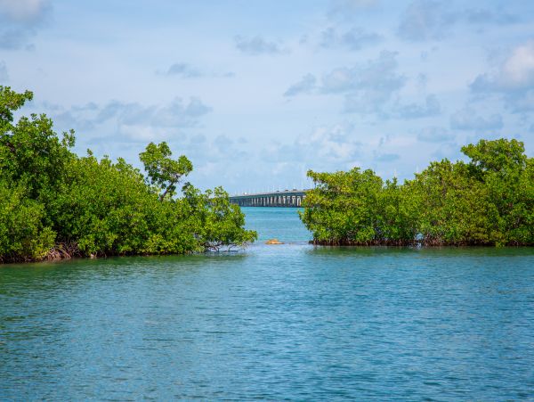 The Florida Keys Home 1021690