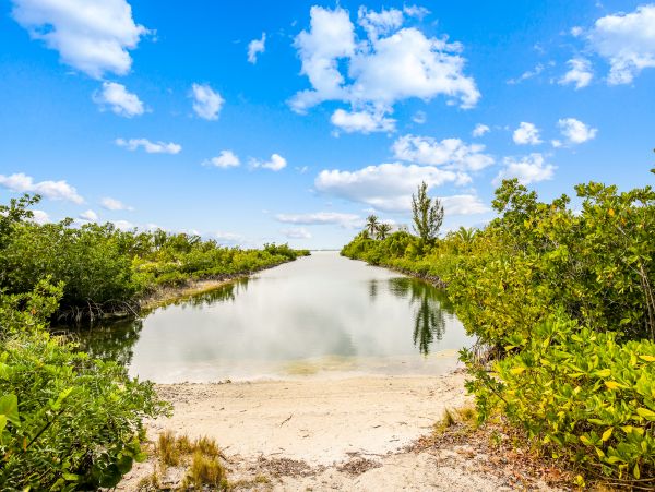 The Florida Keys Home 1021725