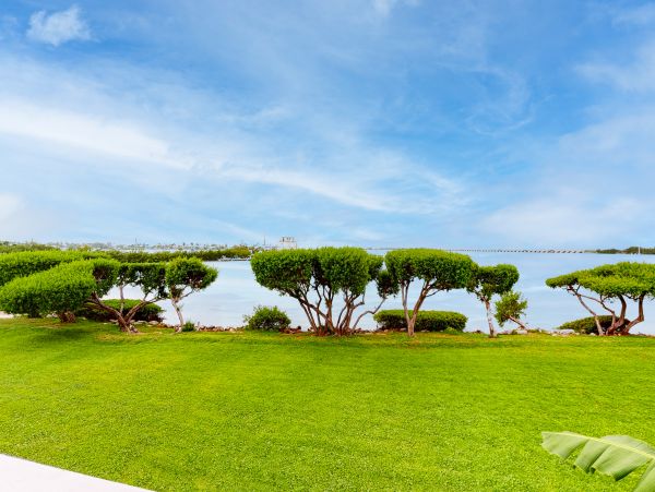 The Florida Keys Home 1021741
