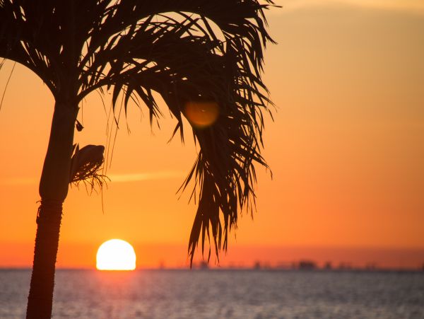 Fort Myers Condo 1021779