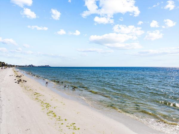 Fort Myers Condo 1021779