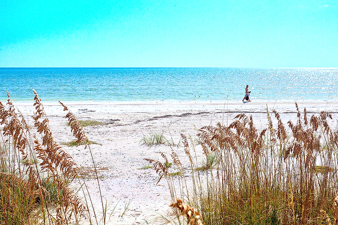 Fort Myers Condo 1021790
