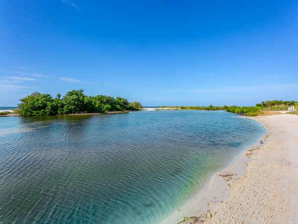 Fort Myers Condo 1021791