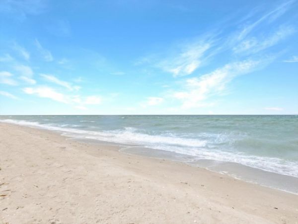 Fort Myers Condo 1021823