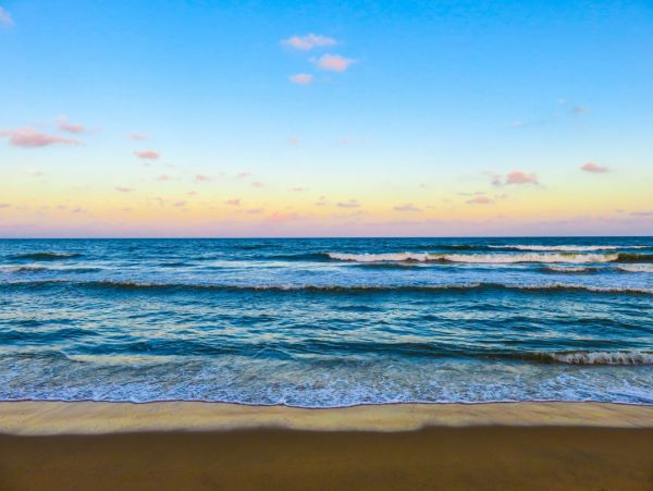 Fort Myers Condo 1021862