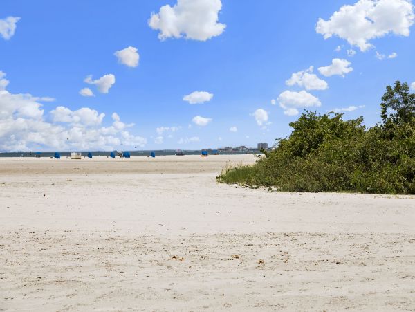 Fort Myers Condo 1021868