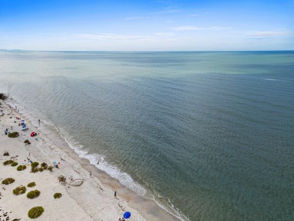Fort Myers Condo 1021886