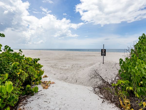 Fort Myers Condo 1021916