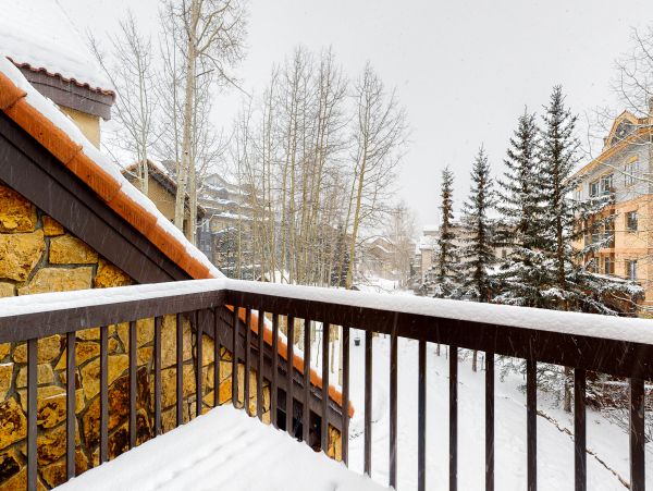 Telluride Home 1022035
