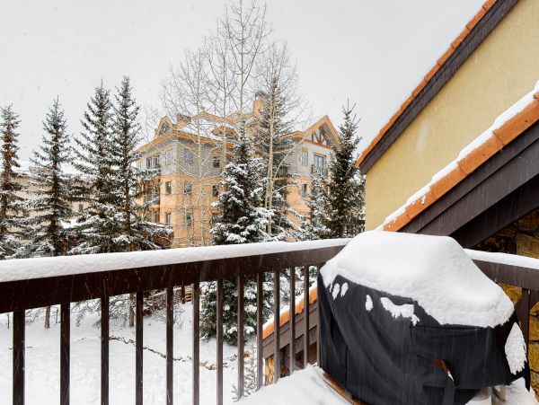 Telluride Home 1022035