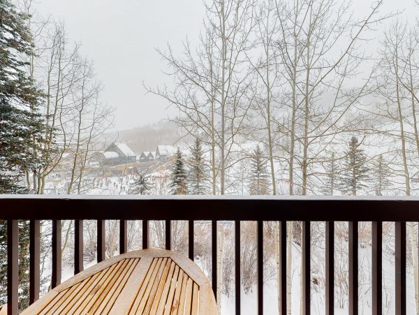 Telluride Home 1022035