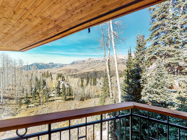Telluride Home 1022036