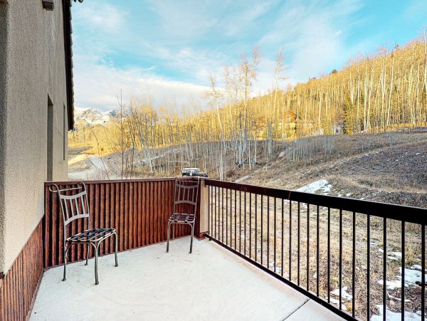 Telluride Home 1022038