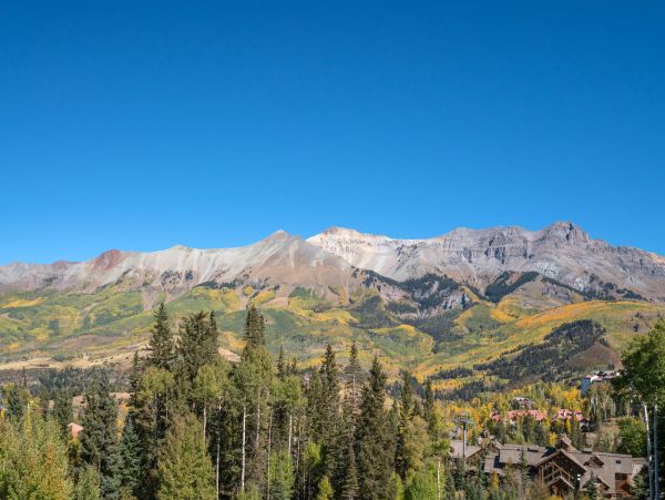 Telluride Home 1022039