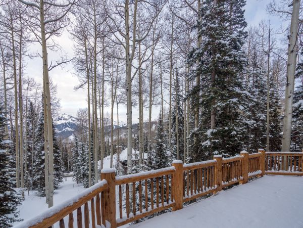 Telluride Home 1022043