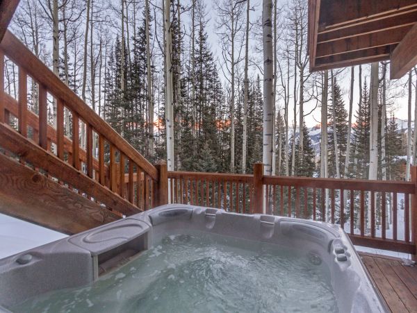 Telluride Home 1022045