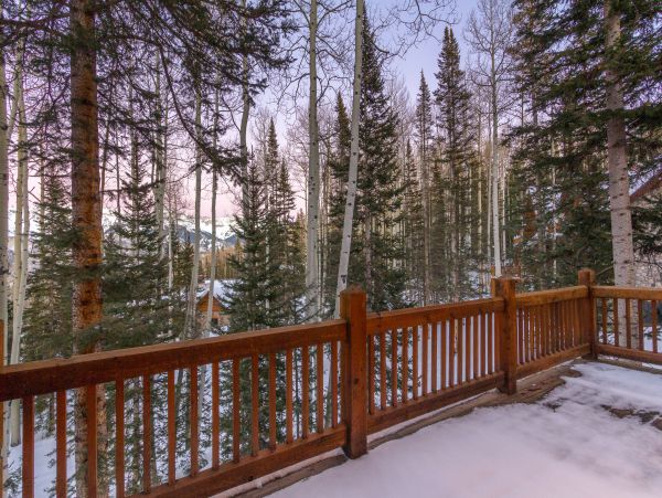 Telluride Home 1022045