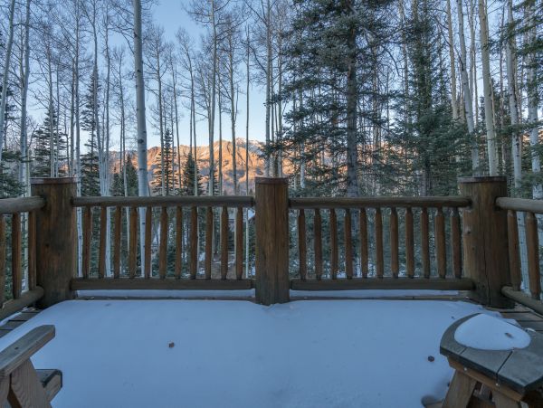 Telluride Home 1022047