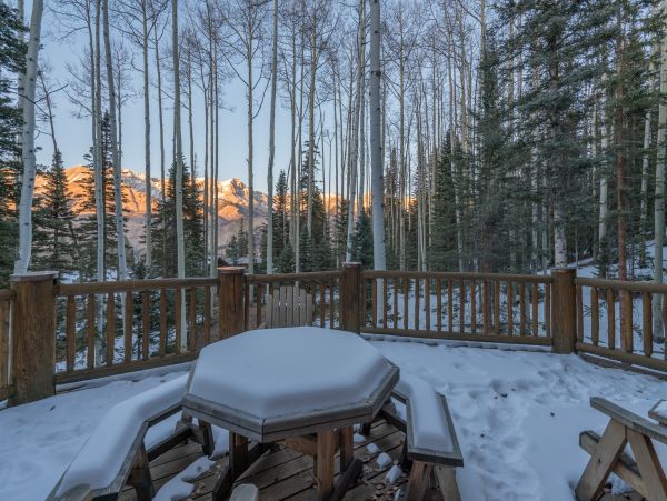 Telluride Home 1022047