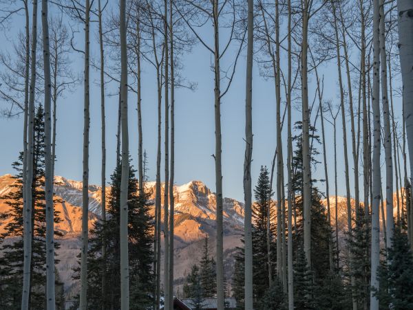 Telluride Home 1022047