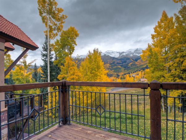 Telluride Home 1022051