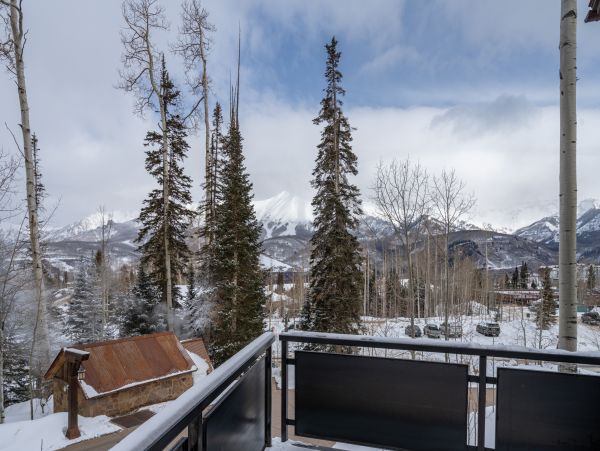 Telluride Home 1022053