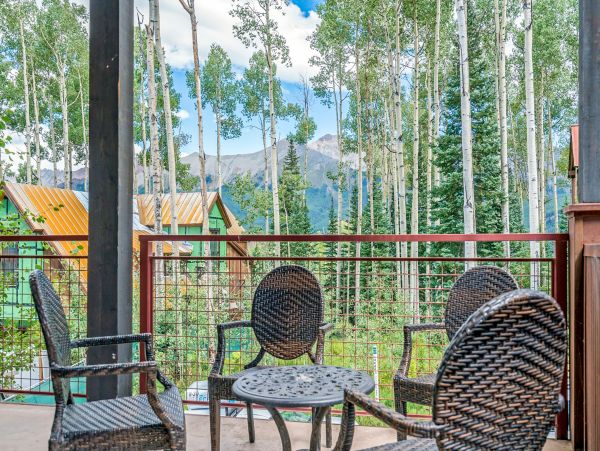 Telluride Home 1022055