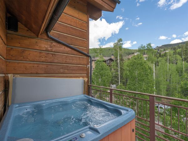 Telluride Home 1022062
