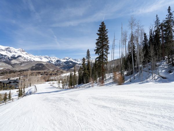 Telluride Home 1022063