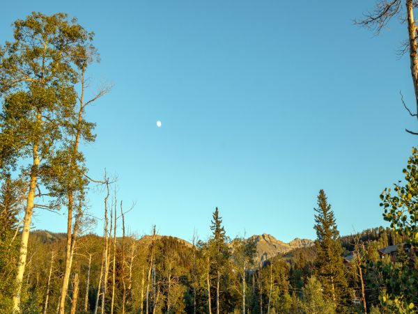 Telluride Home 1022064