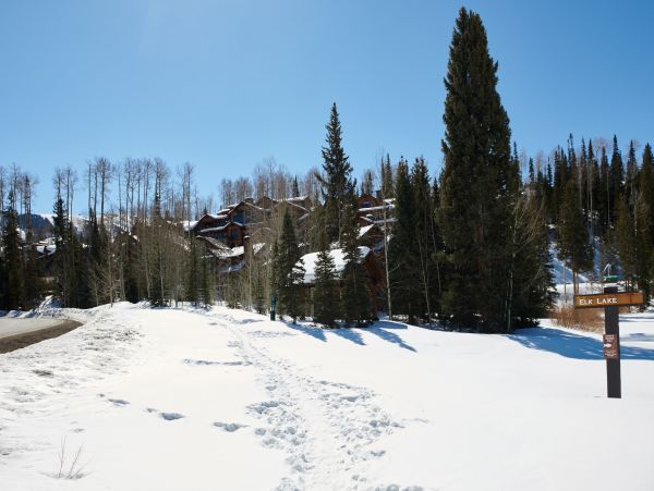 Telluride Home 1022065