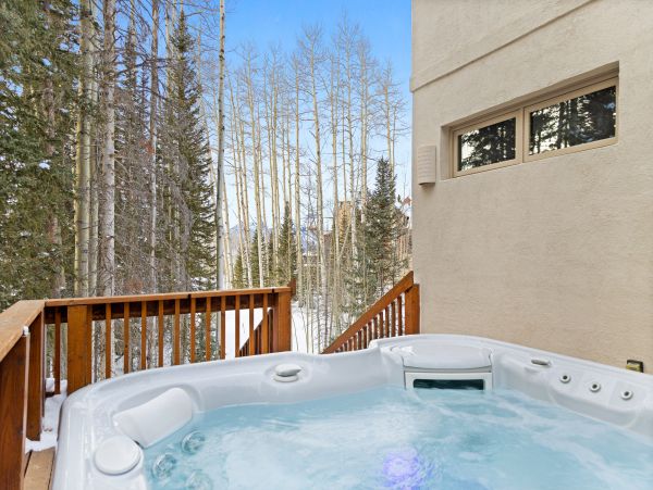 Telluride Home 1022067