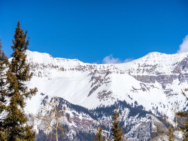 Telluride Home 1022068