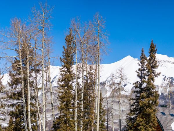 Telluride Home 1022068