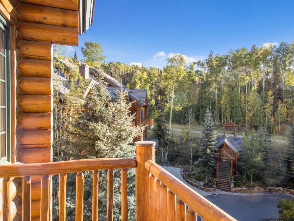 Telluride Home 1022068