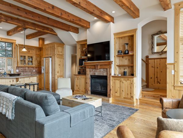 Telluride Home 1022069