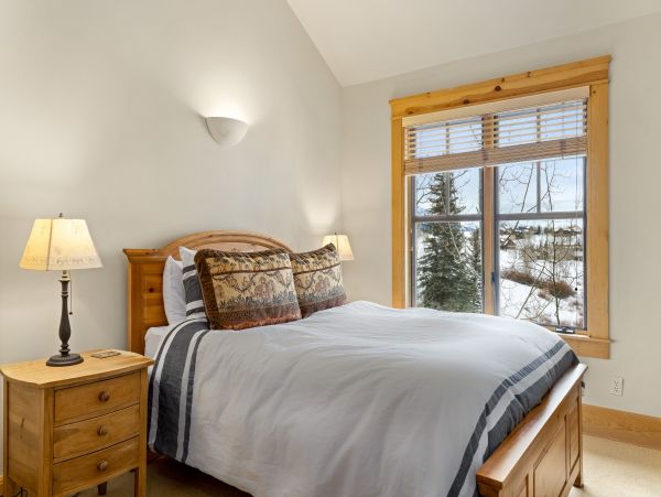 Telluride Home 1022069