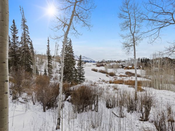 Telluride Home 1022069