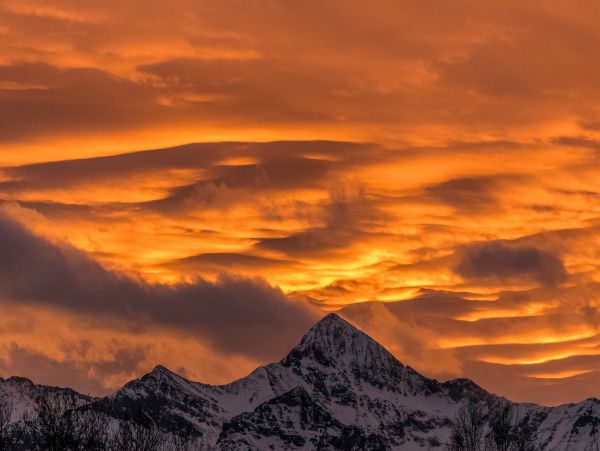 Telluride Home 1022074